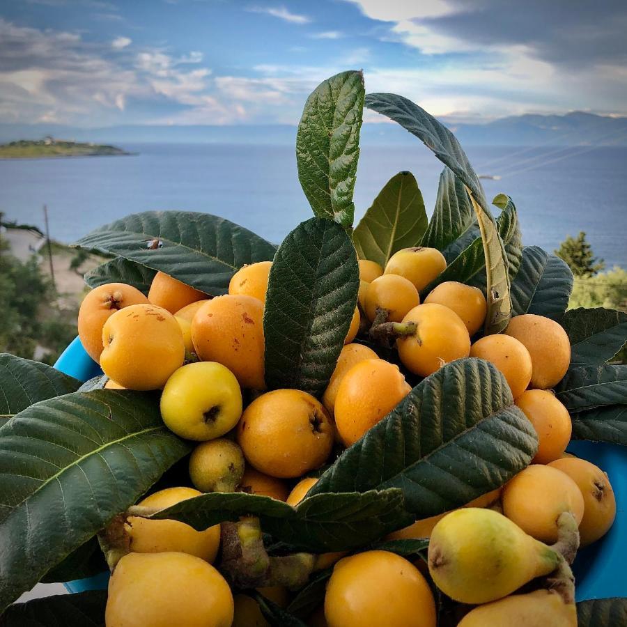 Villa Avgerini Paxos Gaios Luaran gambar