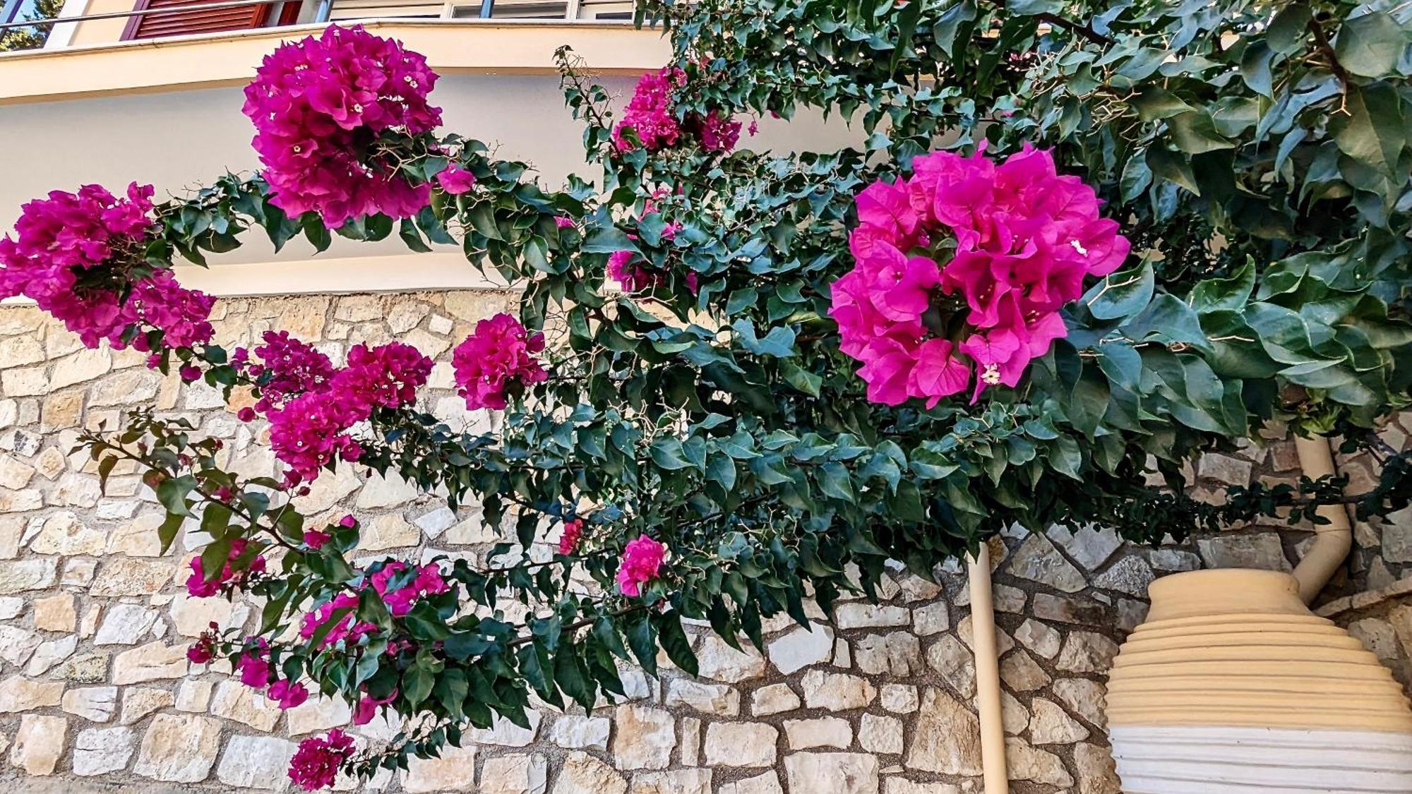 Villa Avgerini Paxos Gaios Luaran gambar